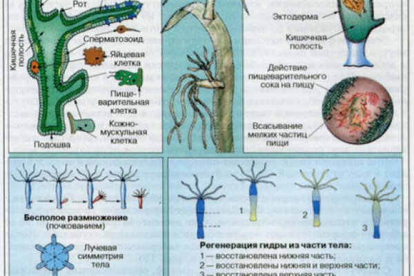 Что продают в кракен маркете