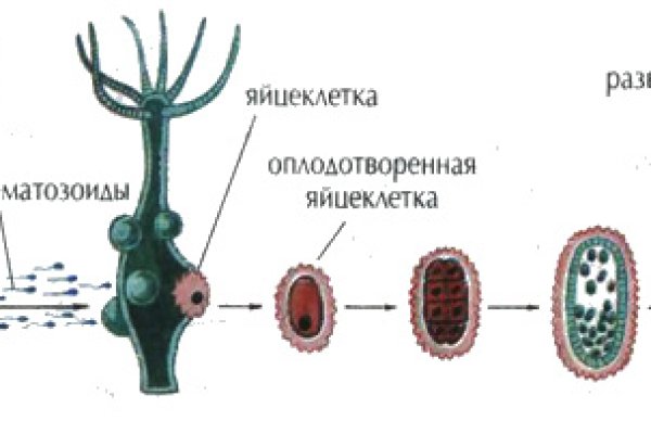 Кракен порошок